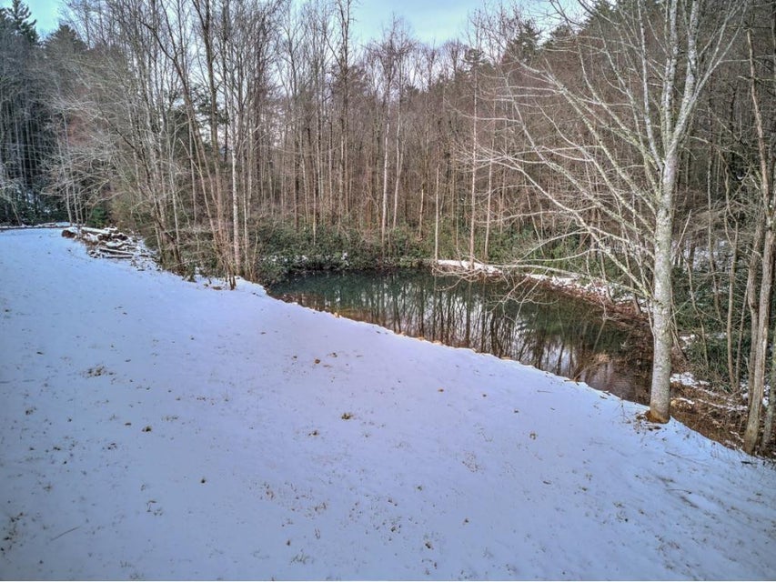 Photo #7: 1600 Viking Mtn Road