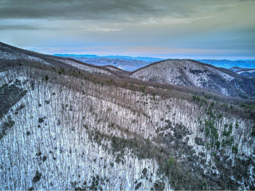 Photo #19: 1600 Viking Mtn Road