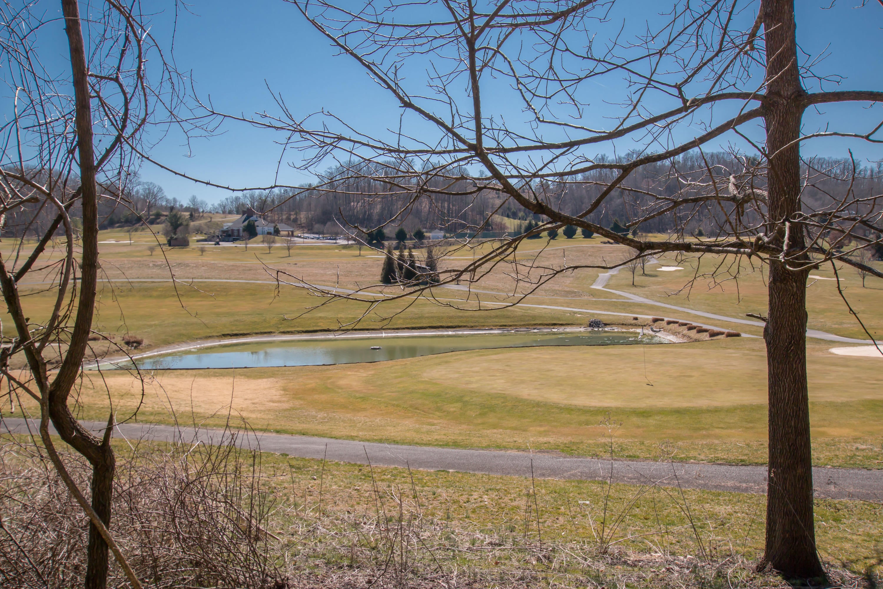 Photo #7: Tbd Glenview Drive