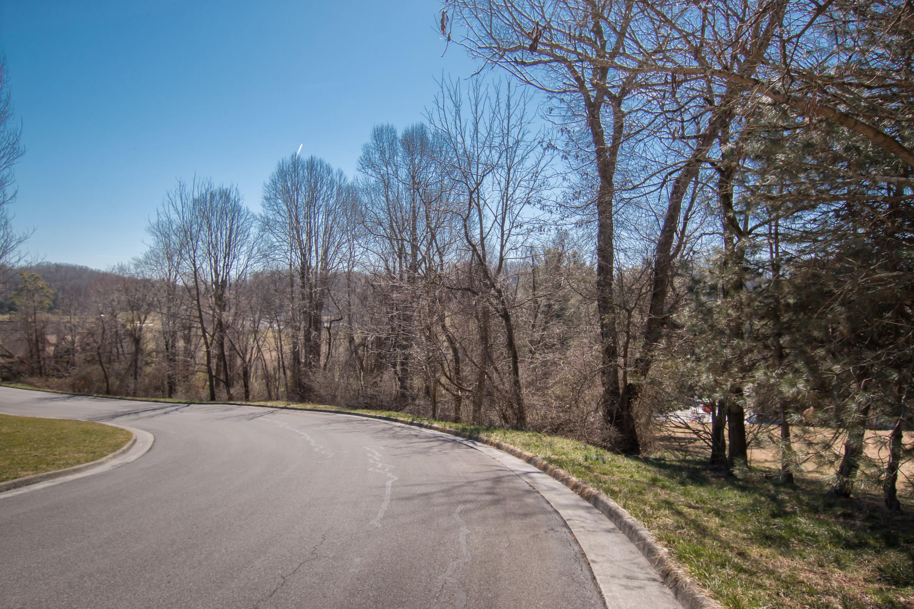 Photo #24: Tbd Glenview Drive