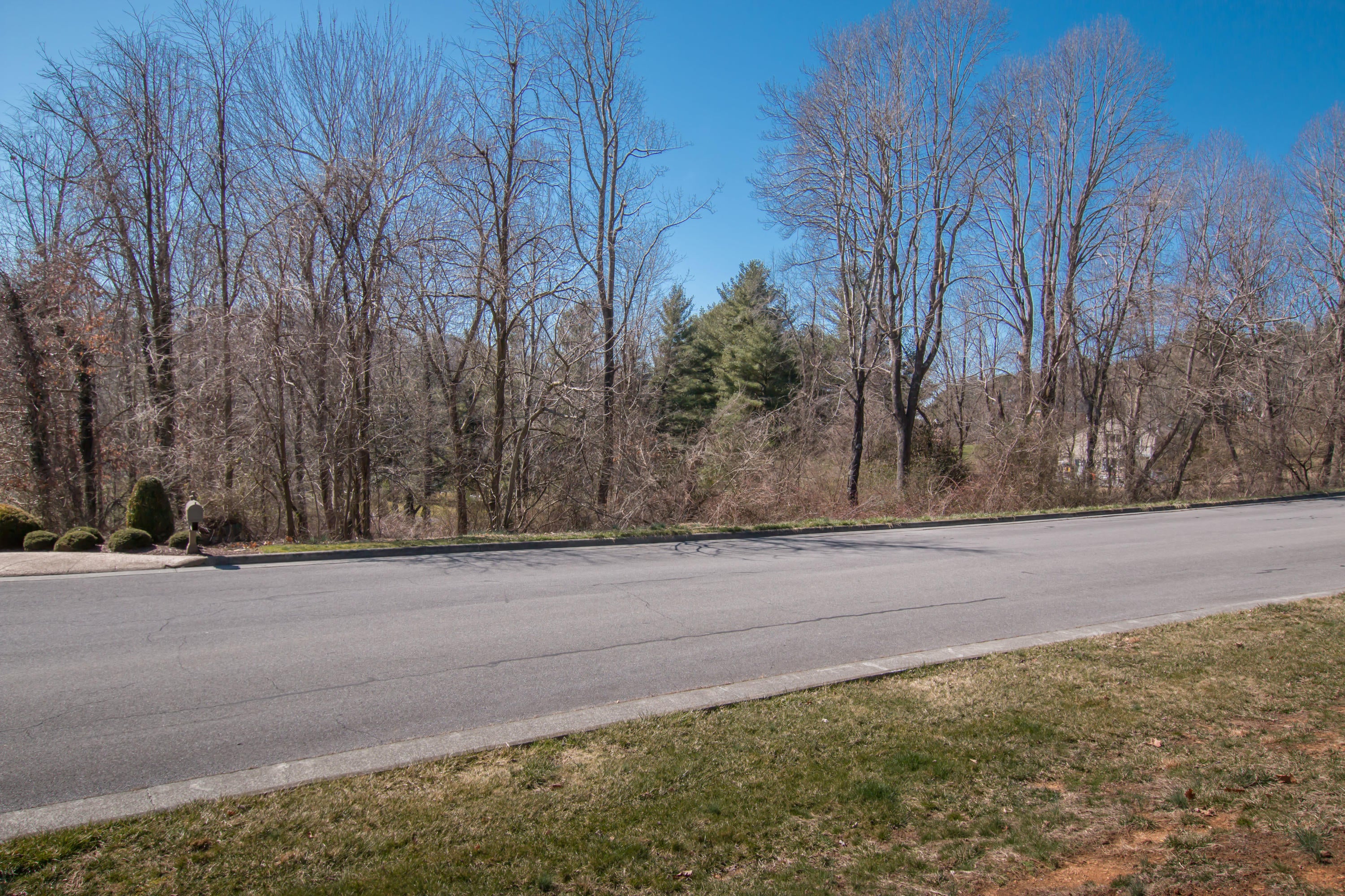 Photo #28: Tbd Glenview Drive