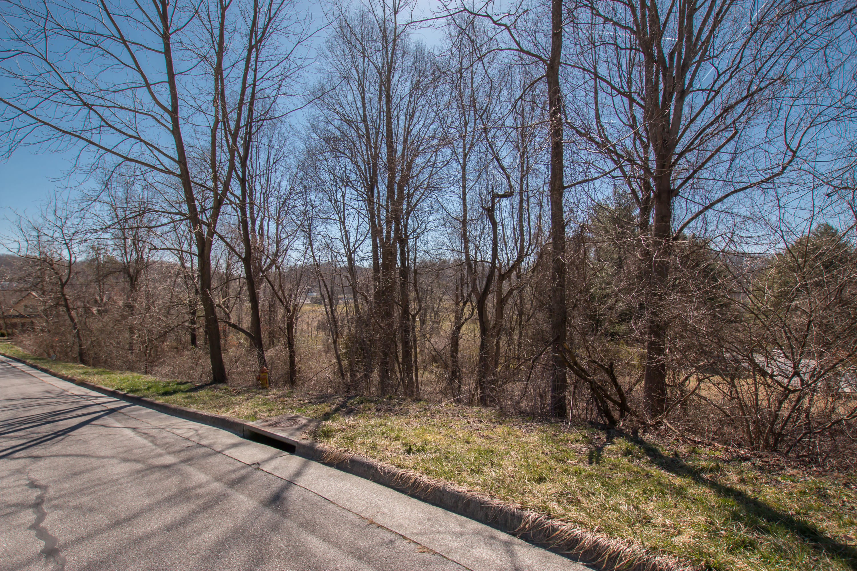 Photo #25: Tbd Glenview Drive