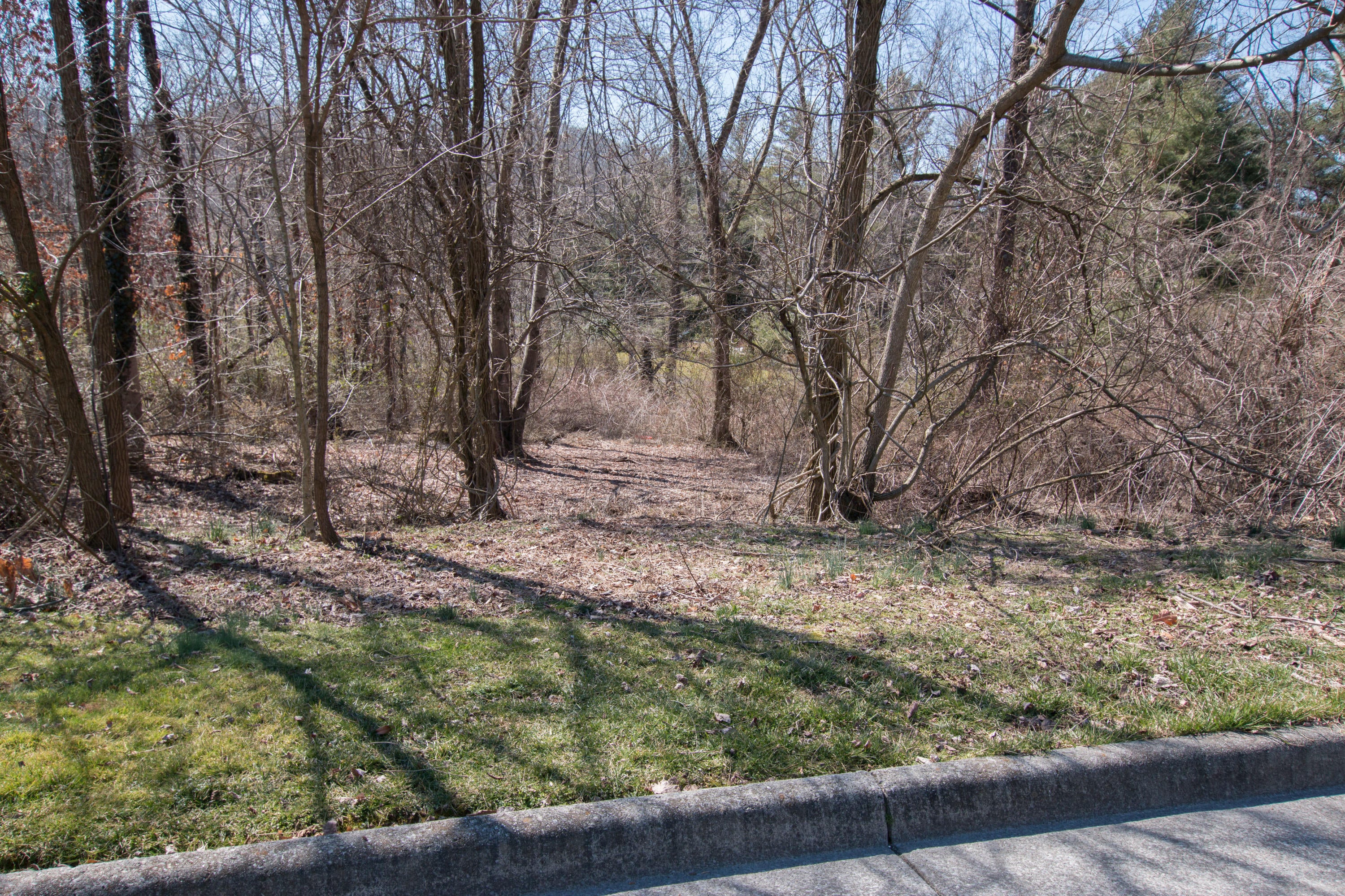 Photo #26: Tbd Glenview Drive