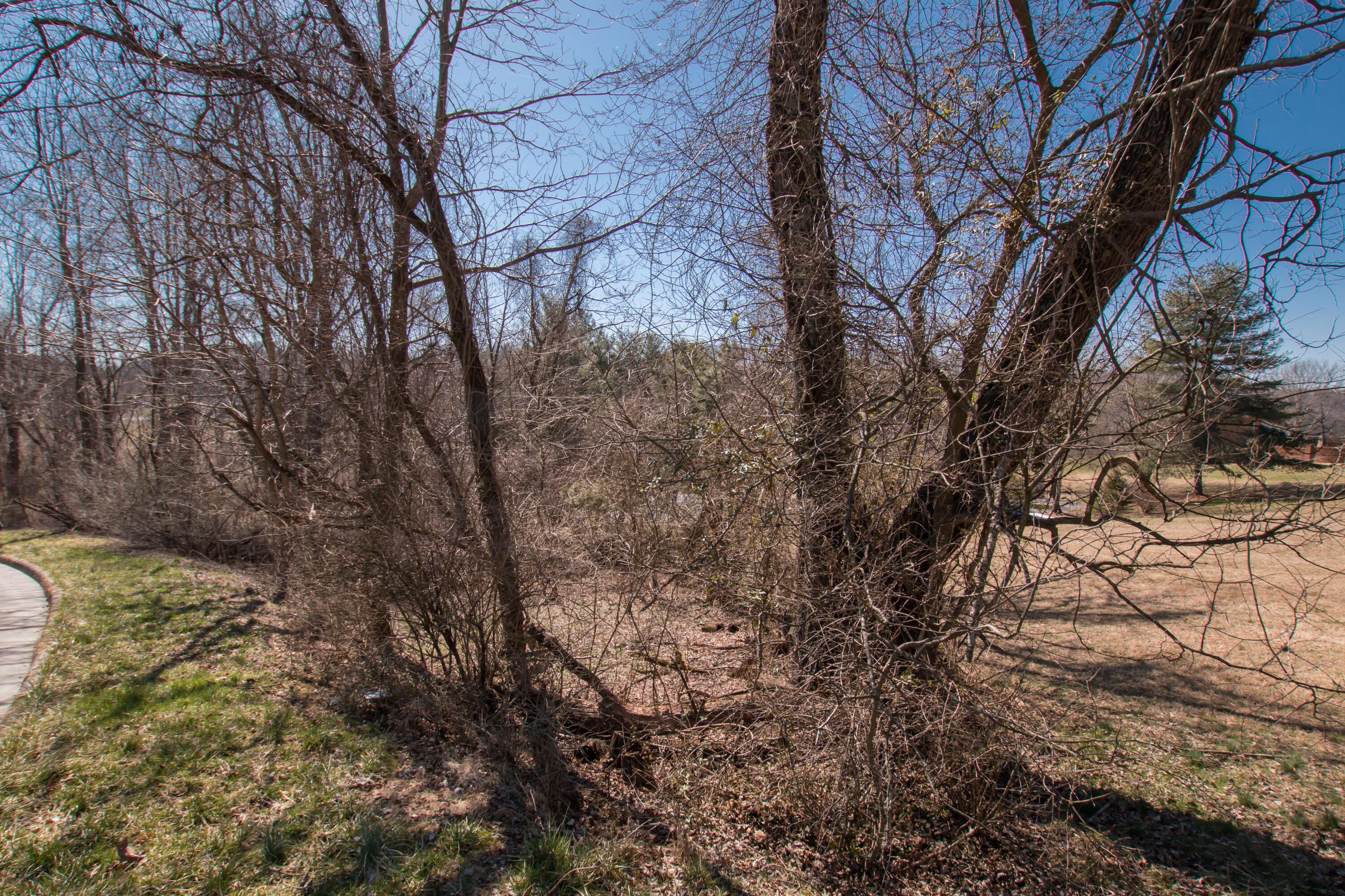 Photo #18: Tbd Glenview Drive