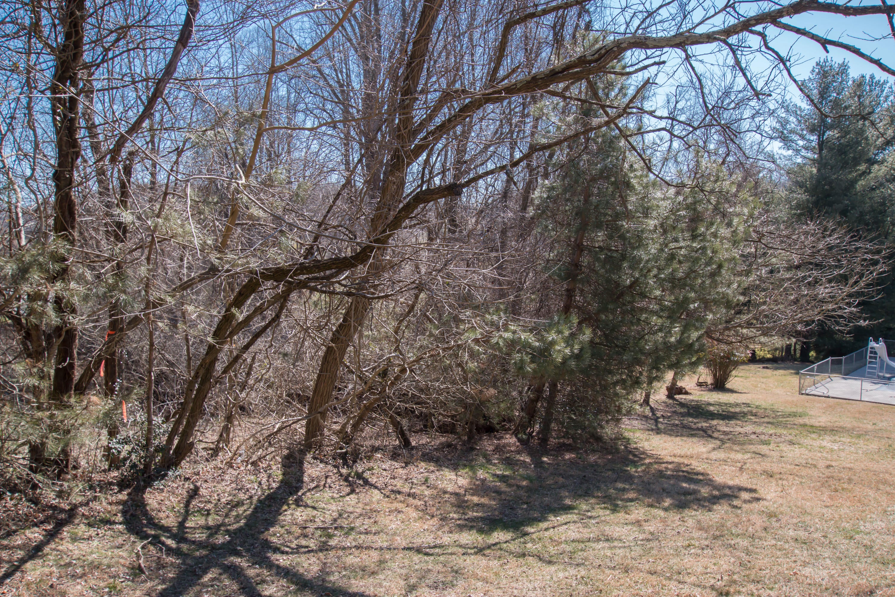 Photo #16: Tbd Glenview Drive