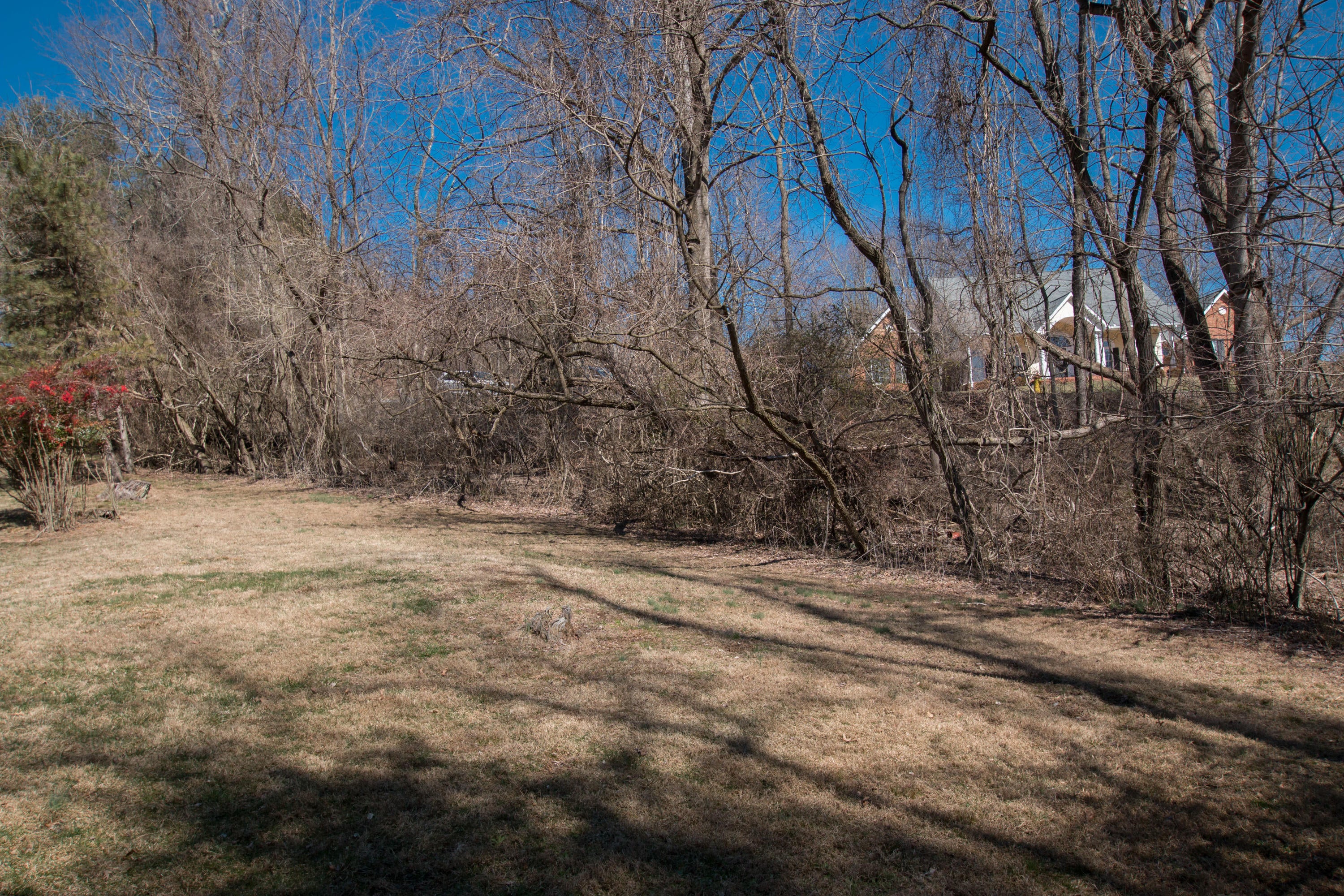 Photo #21: Tbd Glenview Drive