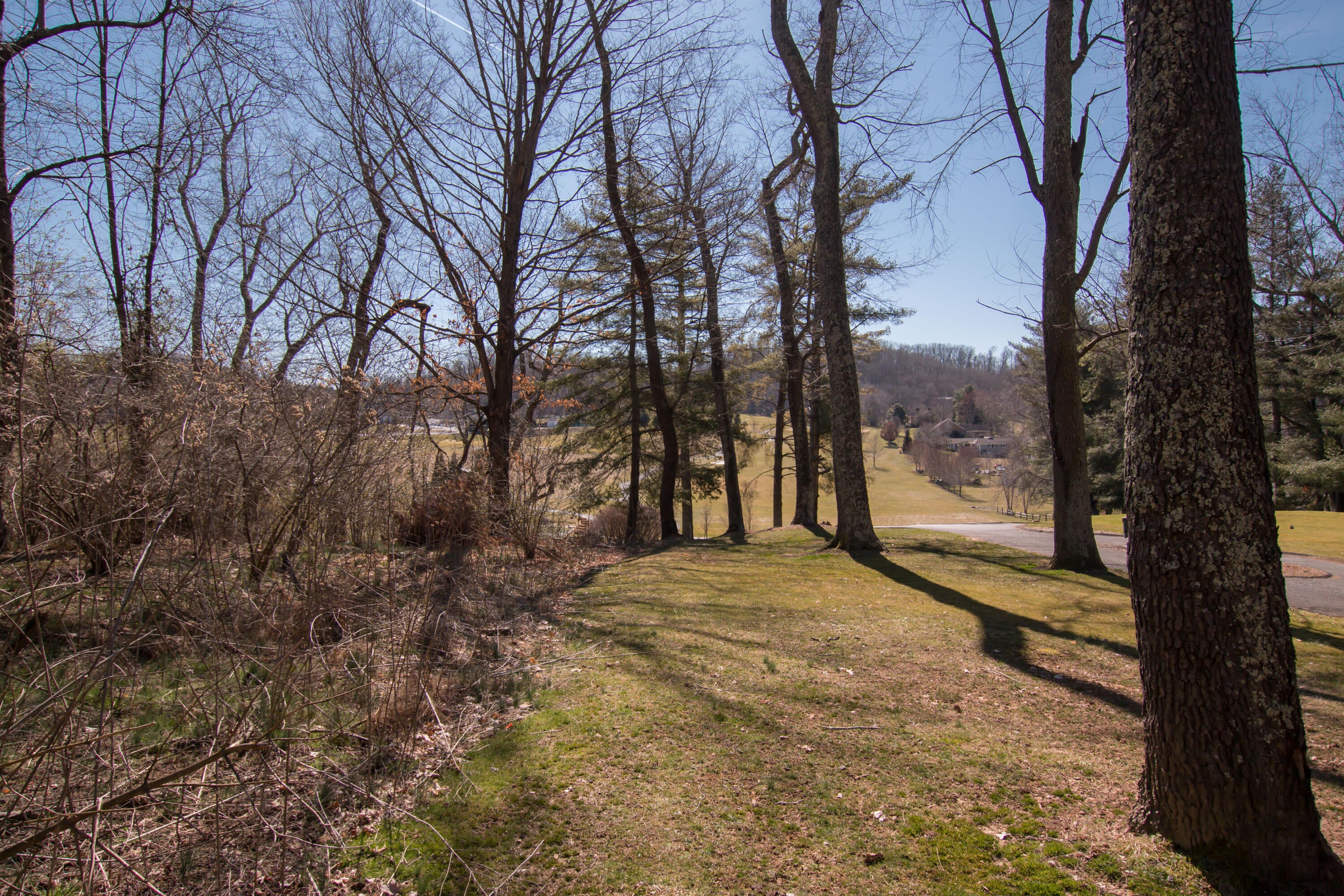 Photo #10: Tbd Glenview Drive