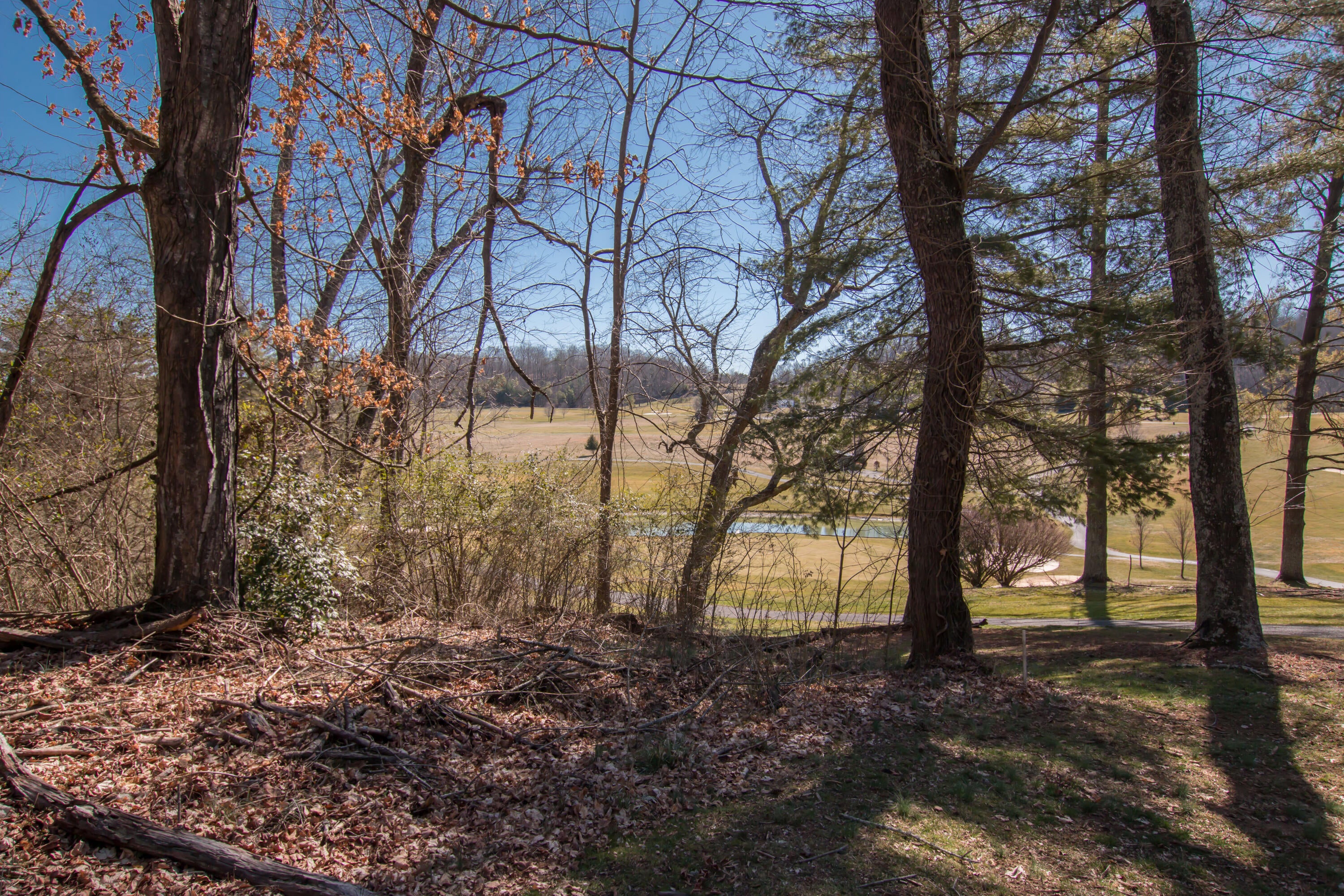 Photo #11: Tbd Glenview Drive