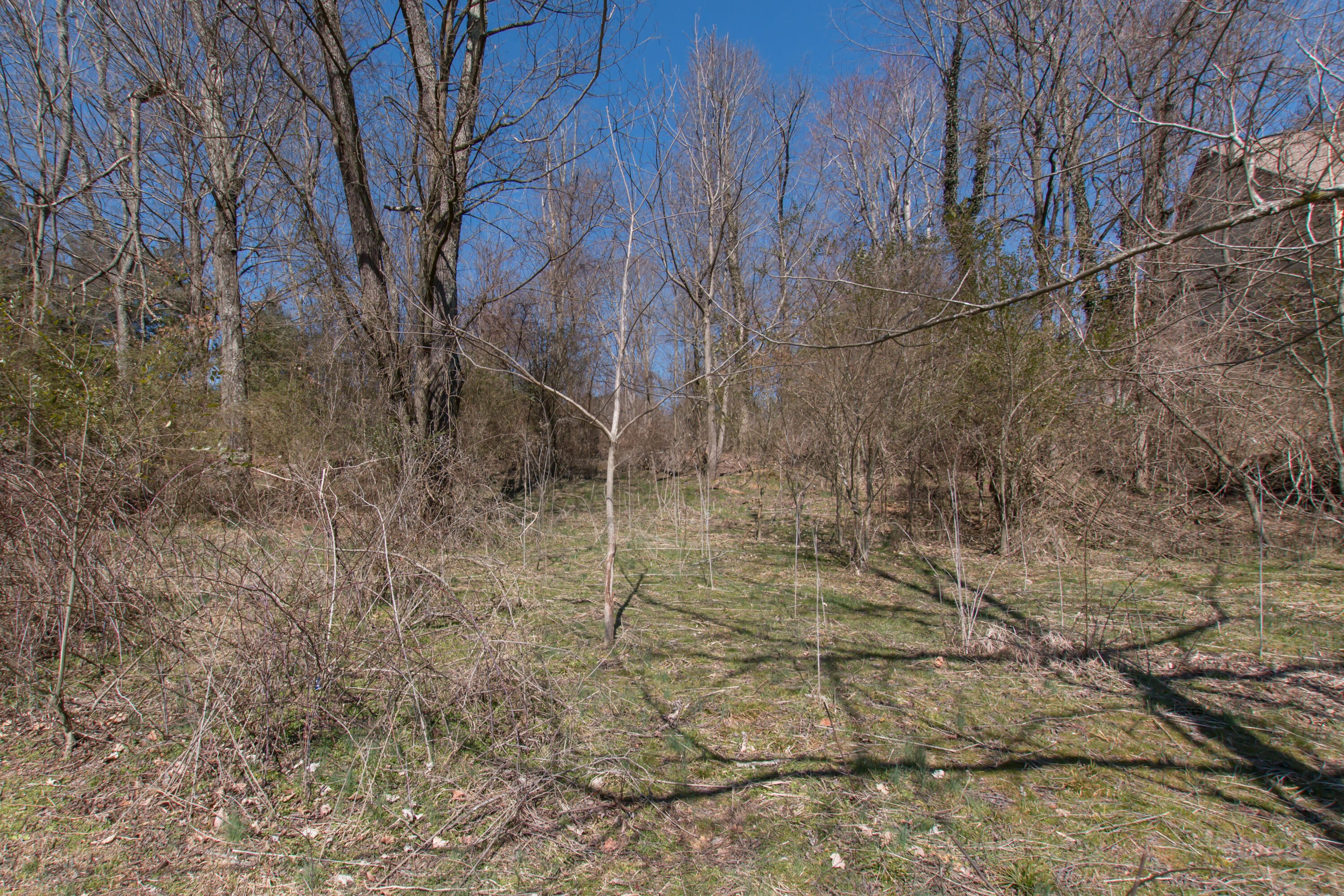 Photo #14: Tbd Glenview Drive
