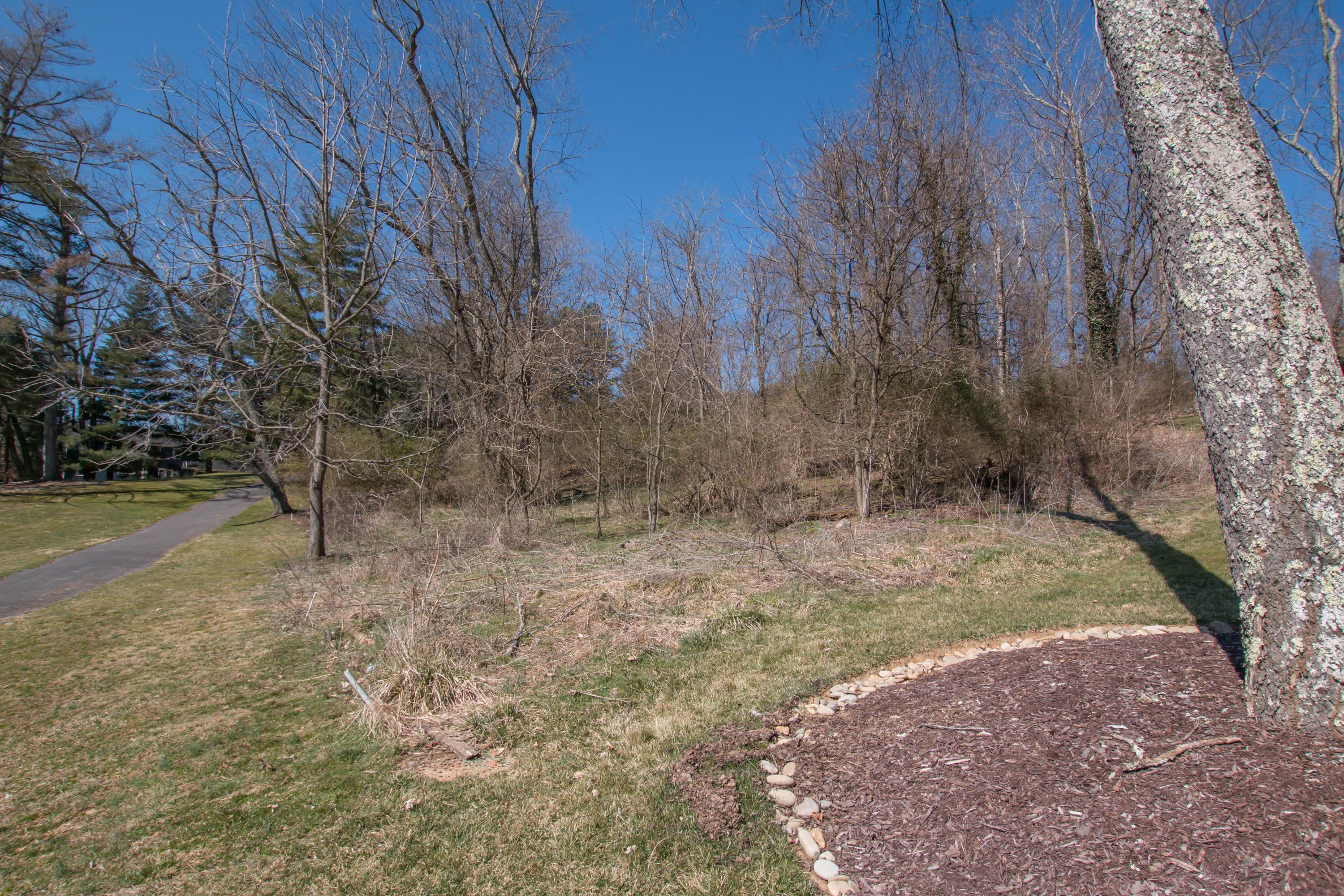 Photo #13: Tbd Glenview Drive