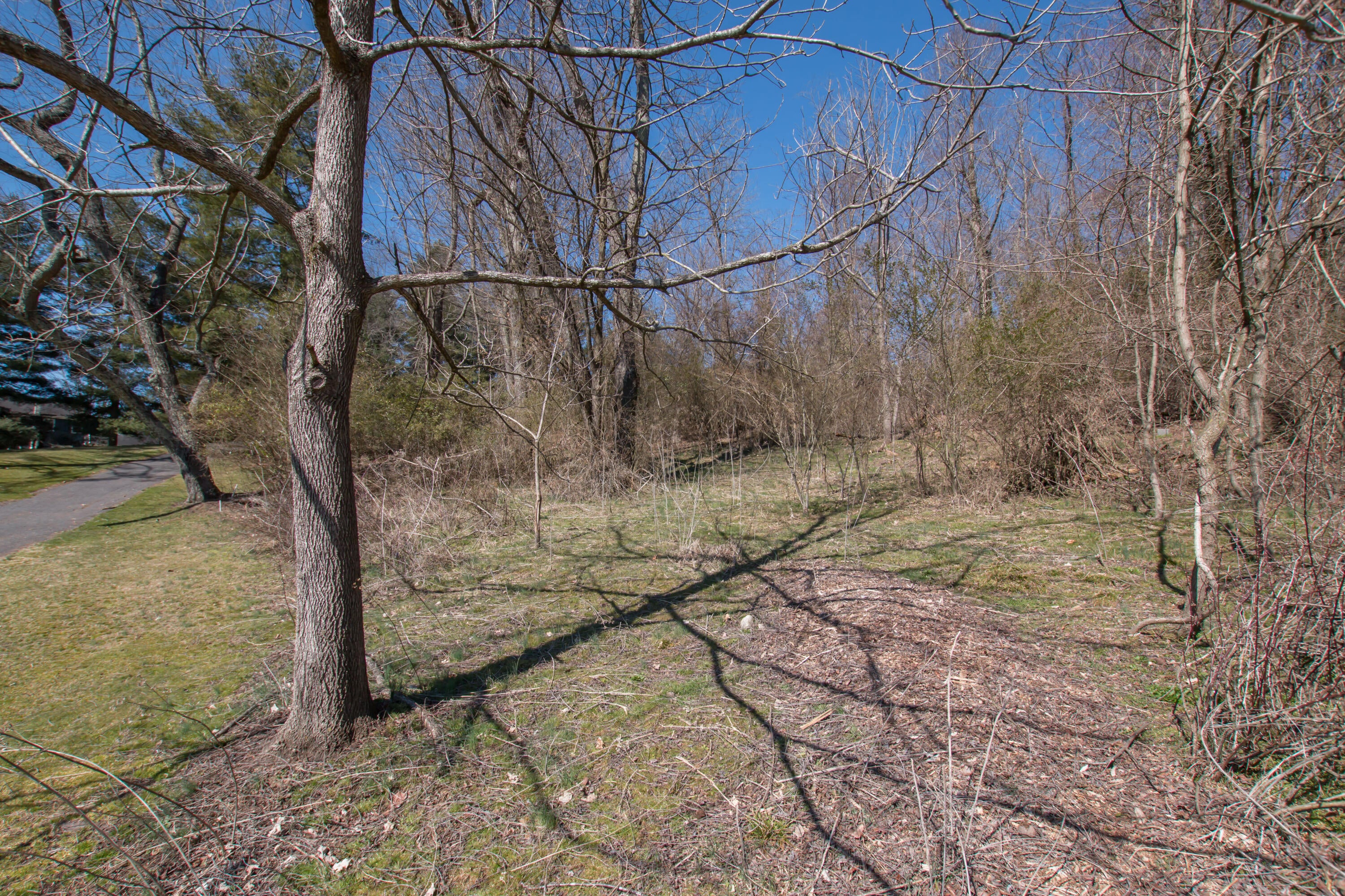 Photo #19: Tbd Glenview Drive