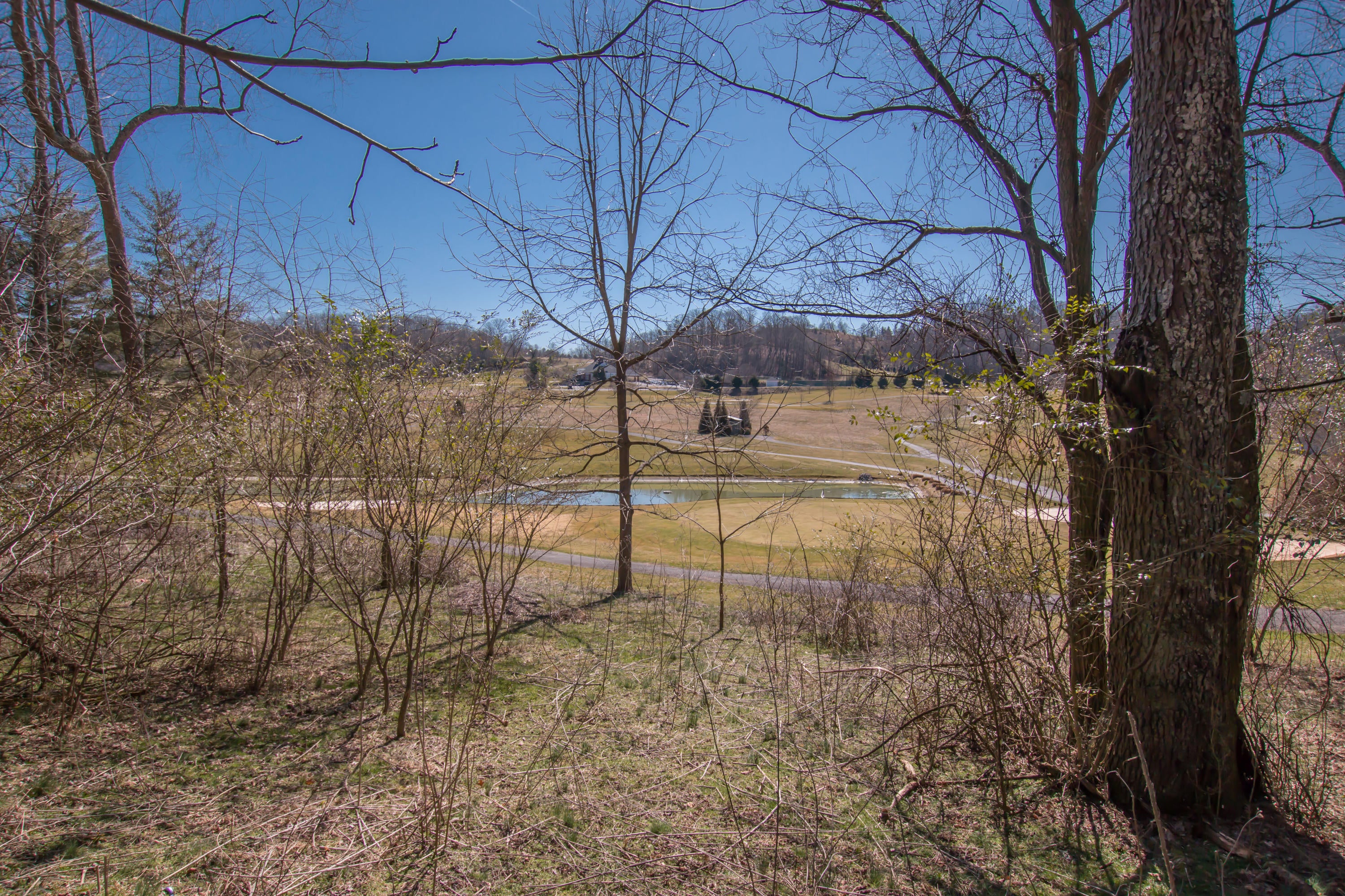 Photo #1: Tbd Glenview Drive