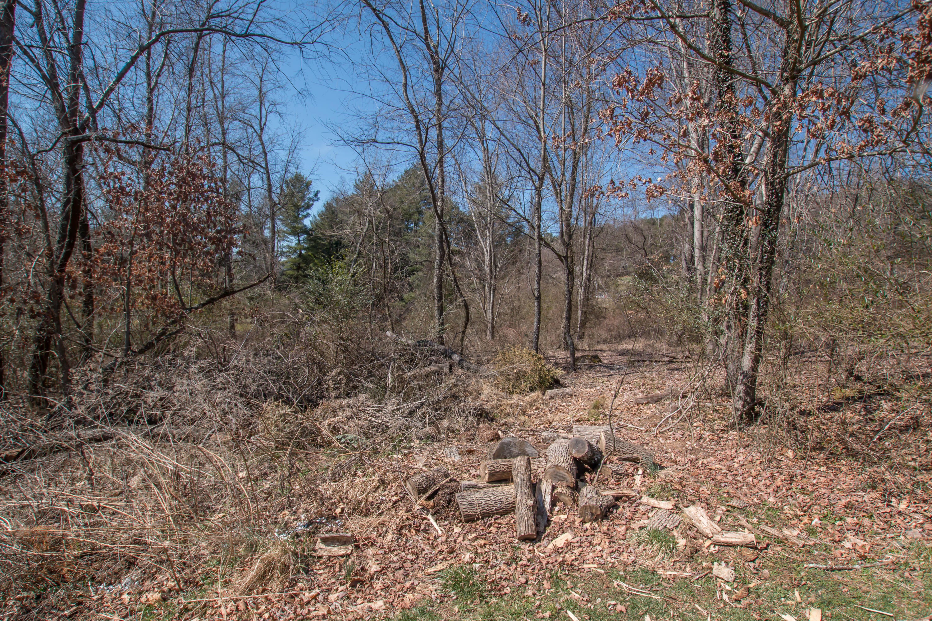 Photo #20: Tbd Glenview Drive