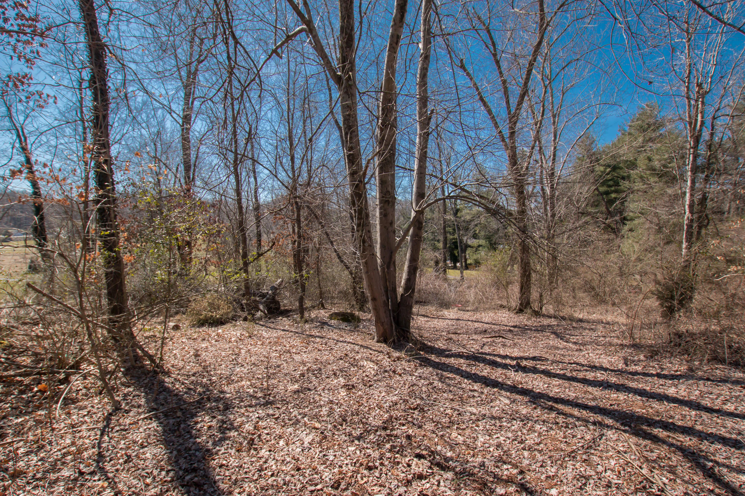 Photo #15: Tbd Glenview Drive