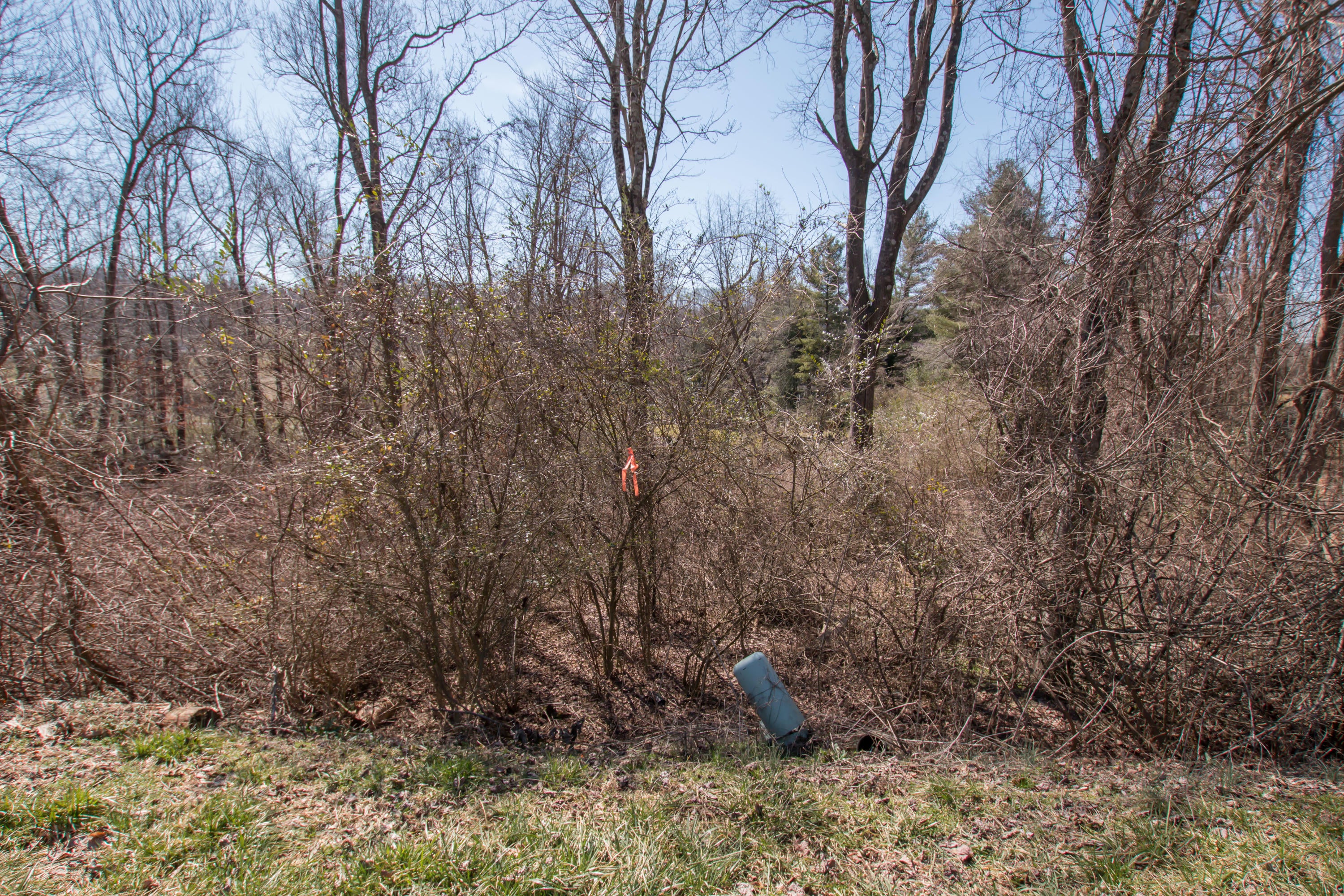 Photo #23: Tbd Glenview Drive