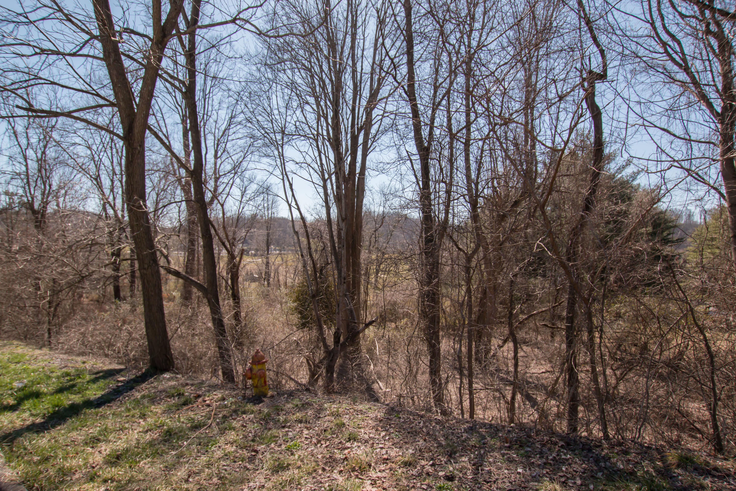 Photo #22: Tbd Glenview Drive