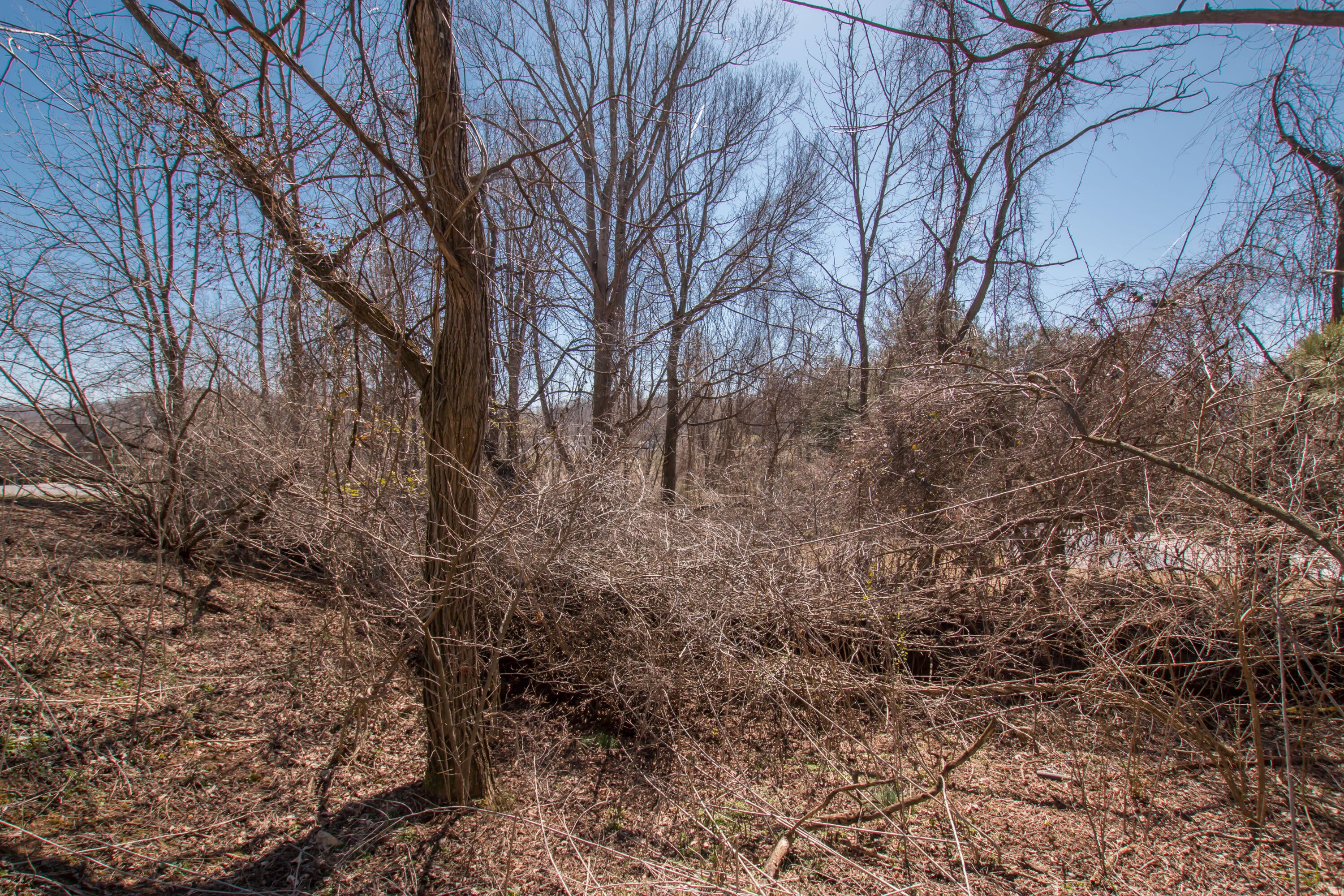 Photo #27: Tbd Glenview Drive