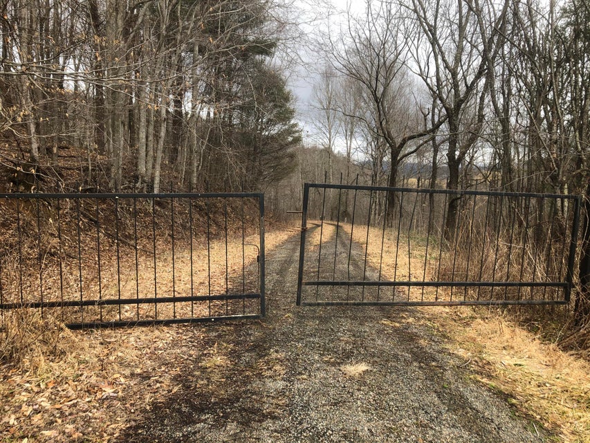 Photo #3: Lot 7 Of Big Dry Run Road