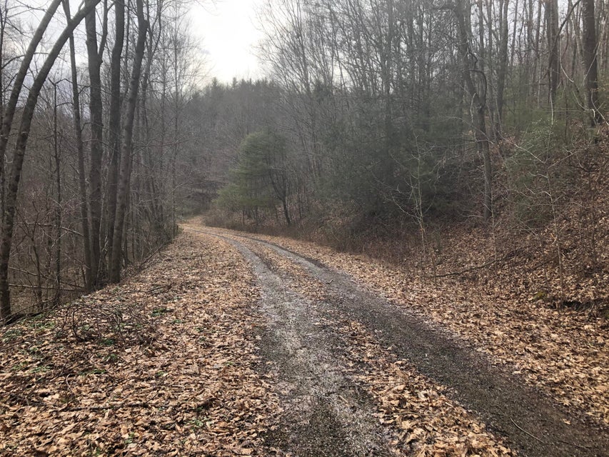 Photo #4: Lot 7 Of Big Dry Run Road