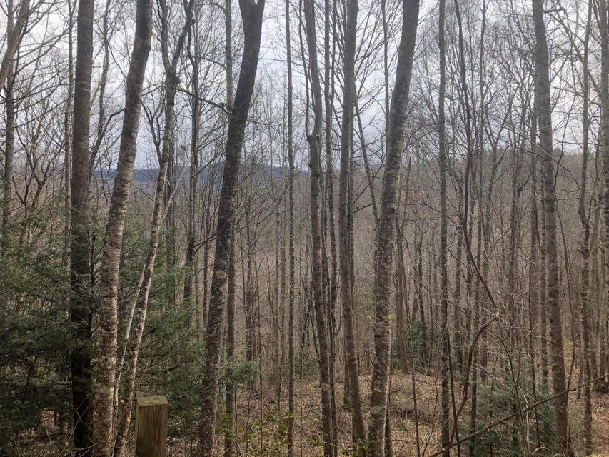 Photo #5: Lot 7 Of Big Dry Run Road