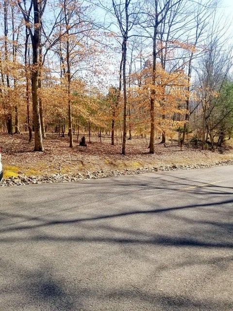 Photo #11: 1511 Catoosa Drive