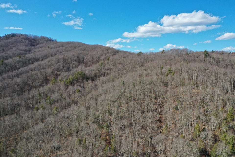 Photo #3: Tbd Heaton Branch Road