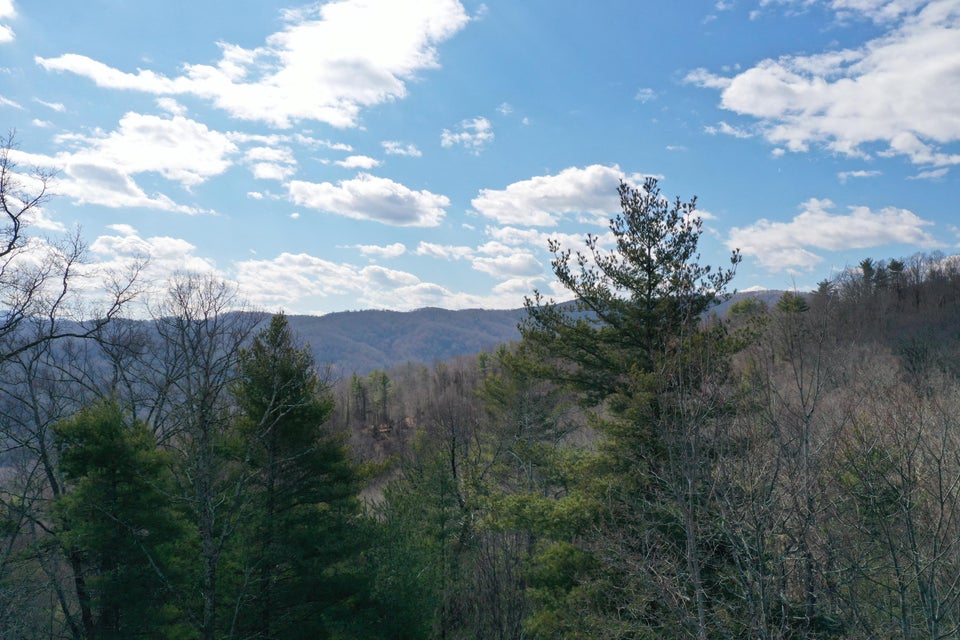 Photo #4: Tbd Heaton Branch Road