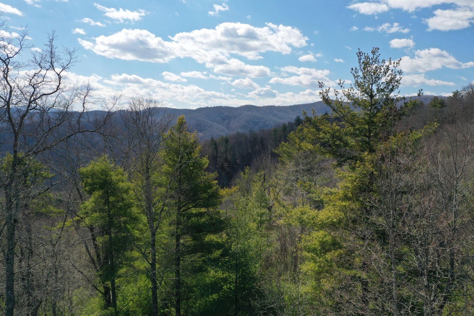 Photo #12: Tbd Heaton Branch Road