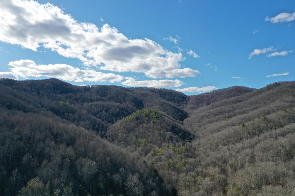 Photo #15: Tbd Heaton Branch Road