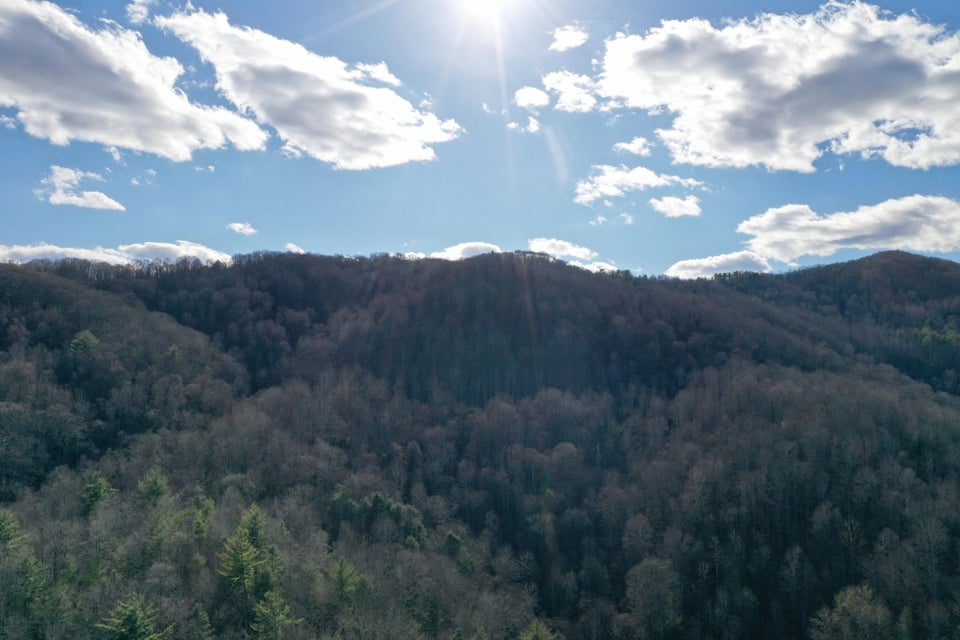Photo #16: Tbd Heaton Branch Road