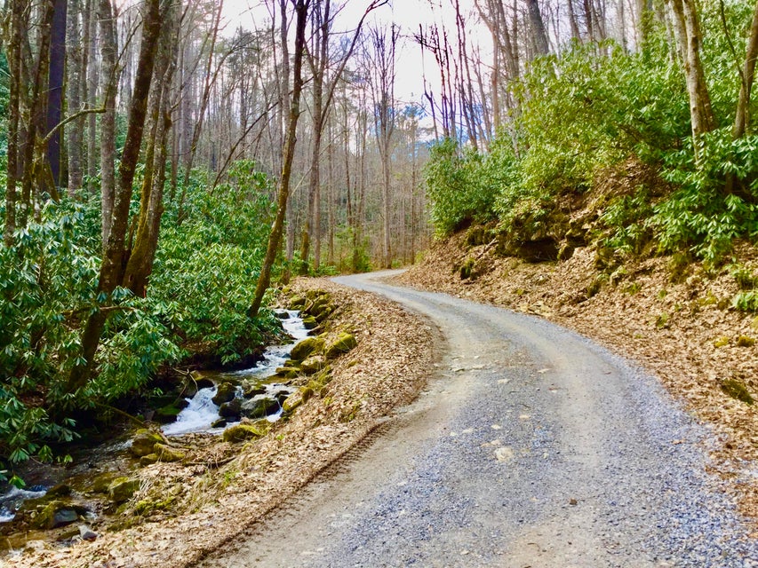 Photo #28: Tbd Heaton Branch Road