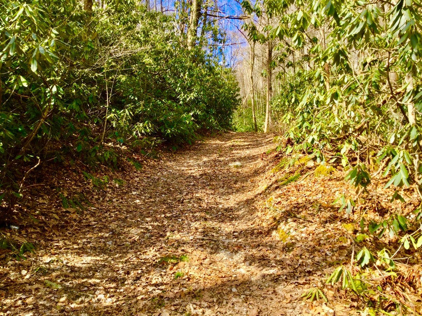 Photo #34: Tbd Heaton Branch Road