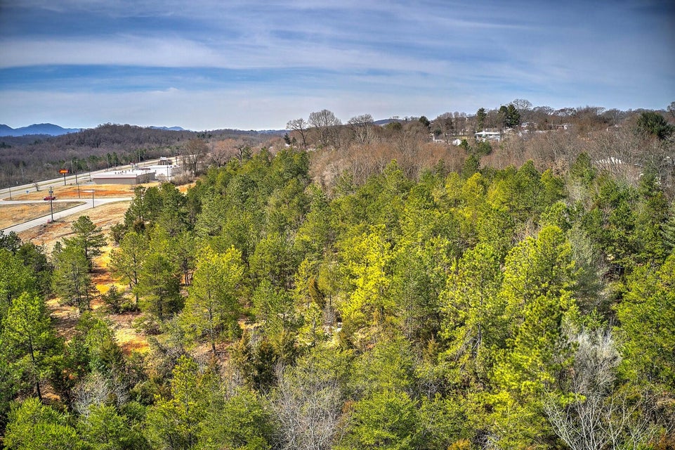 Photo #14: Tbd Stone Drive