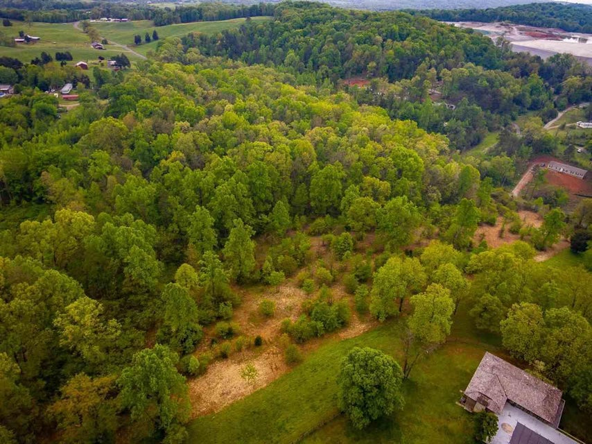 Photo #9: 848 Whitaker Road