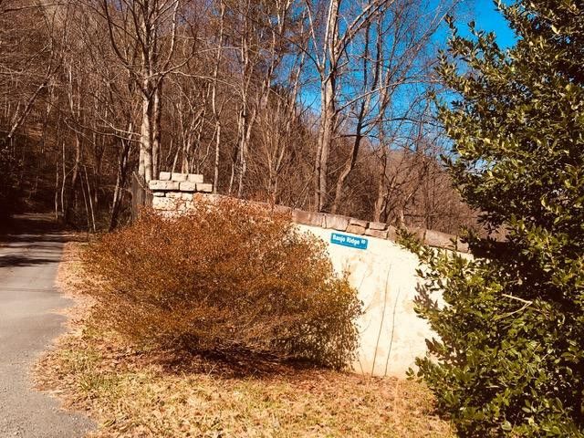 Photo #10: Tbd Banjo Ridge Rd Lot 3