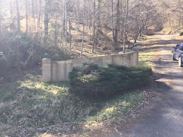 Photo #11: Tbd Banjo Ridge Rd Lot 39
