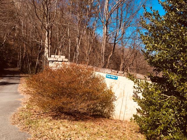 Photo #14: Tbd Banjo Ridge Rd Lot 39