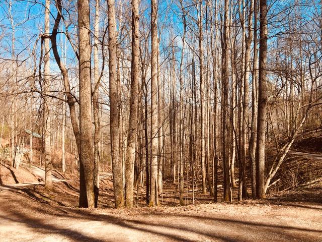 Photo #18: Tbd Banjo Ridge Rd Lot 8