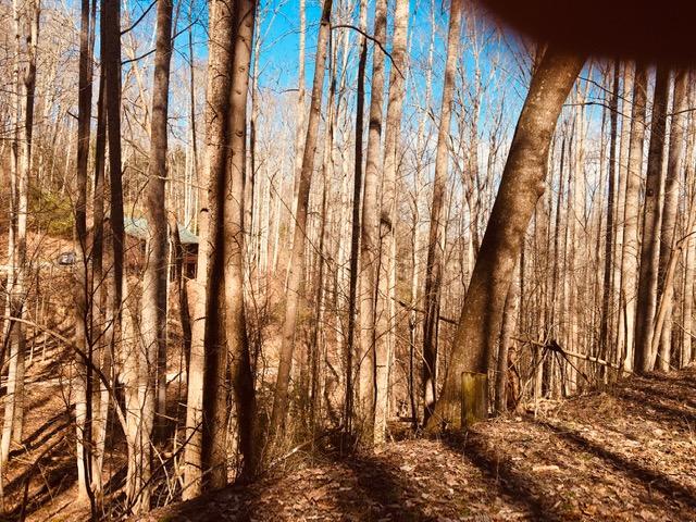 Photo #21: Tbd Banjo Ridge Rd Lot 8