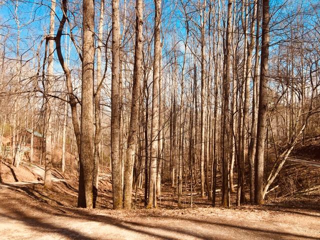 Photo #20: Tbd Banjo Ridge Rd Lot 39