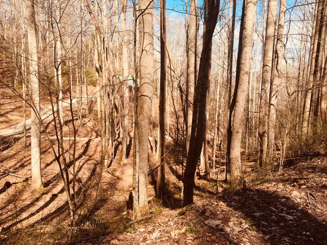 Photo #21: Tbd Banjo Ridge Rd Lot 39