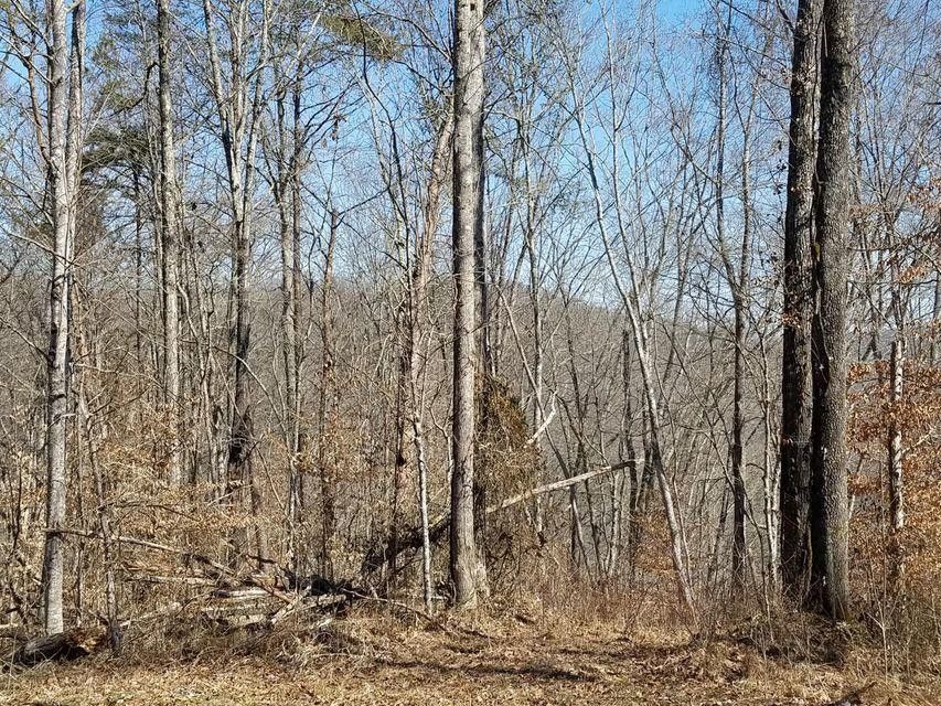 Photo #7: 0 Big Springs Road