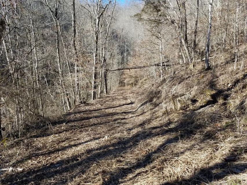 Photo #12: 0 Big Springs Road