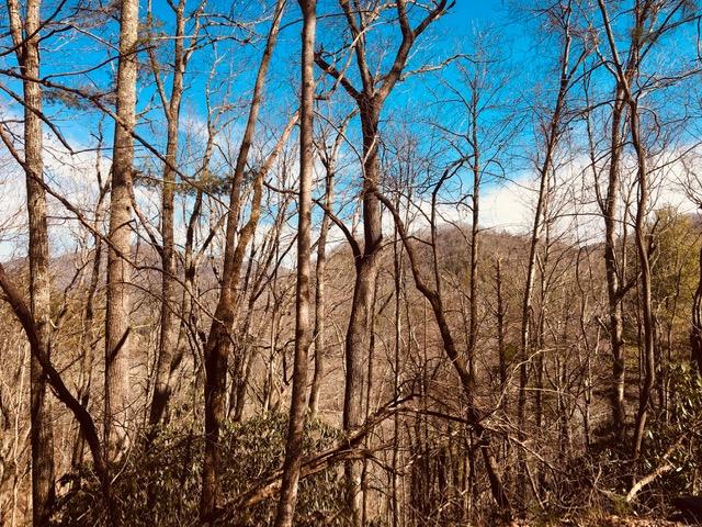Photo #23: Tbd Banjo Ridge Rd Lot 39