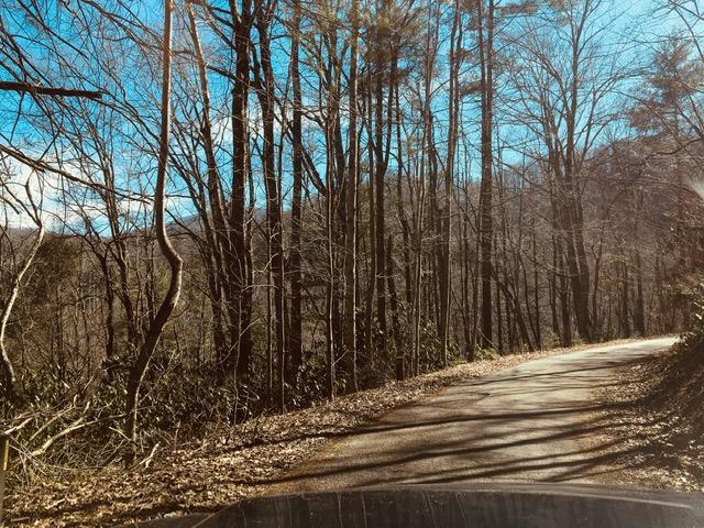 Photo #24: Tbd Banjo Ridge Rd Lot 39