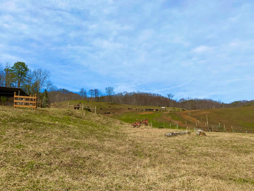 Photo #13: 889 Caney Valley Loop