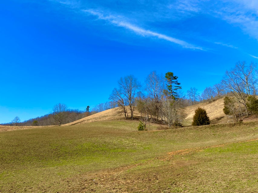 Photo #26: 889 Caney Valley Loop