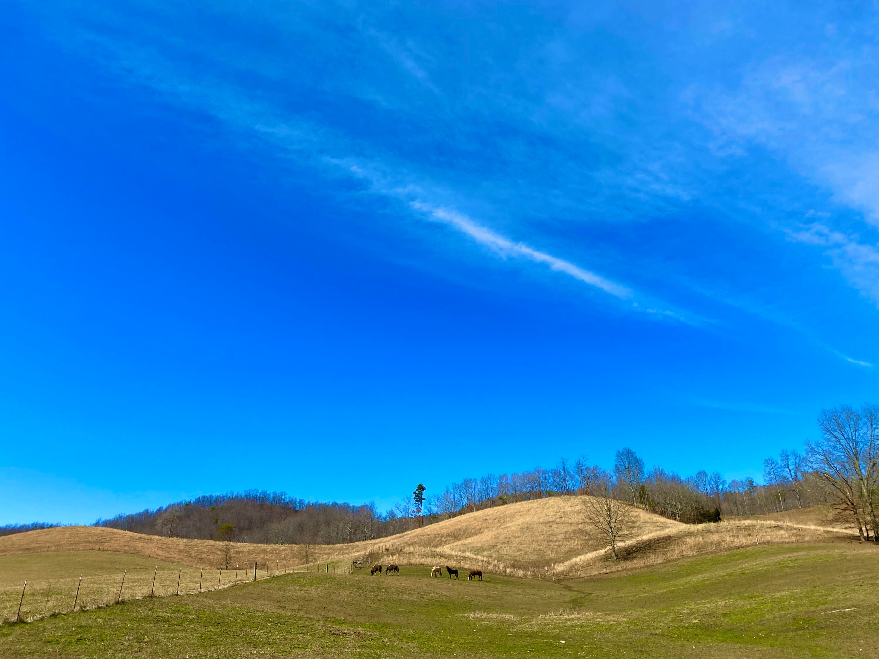 Photo #29: 889 Caney Valley Loop
