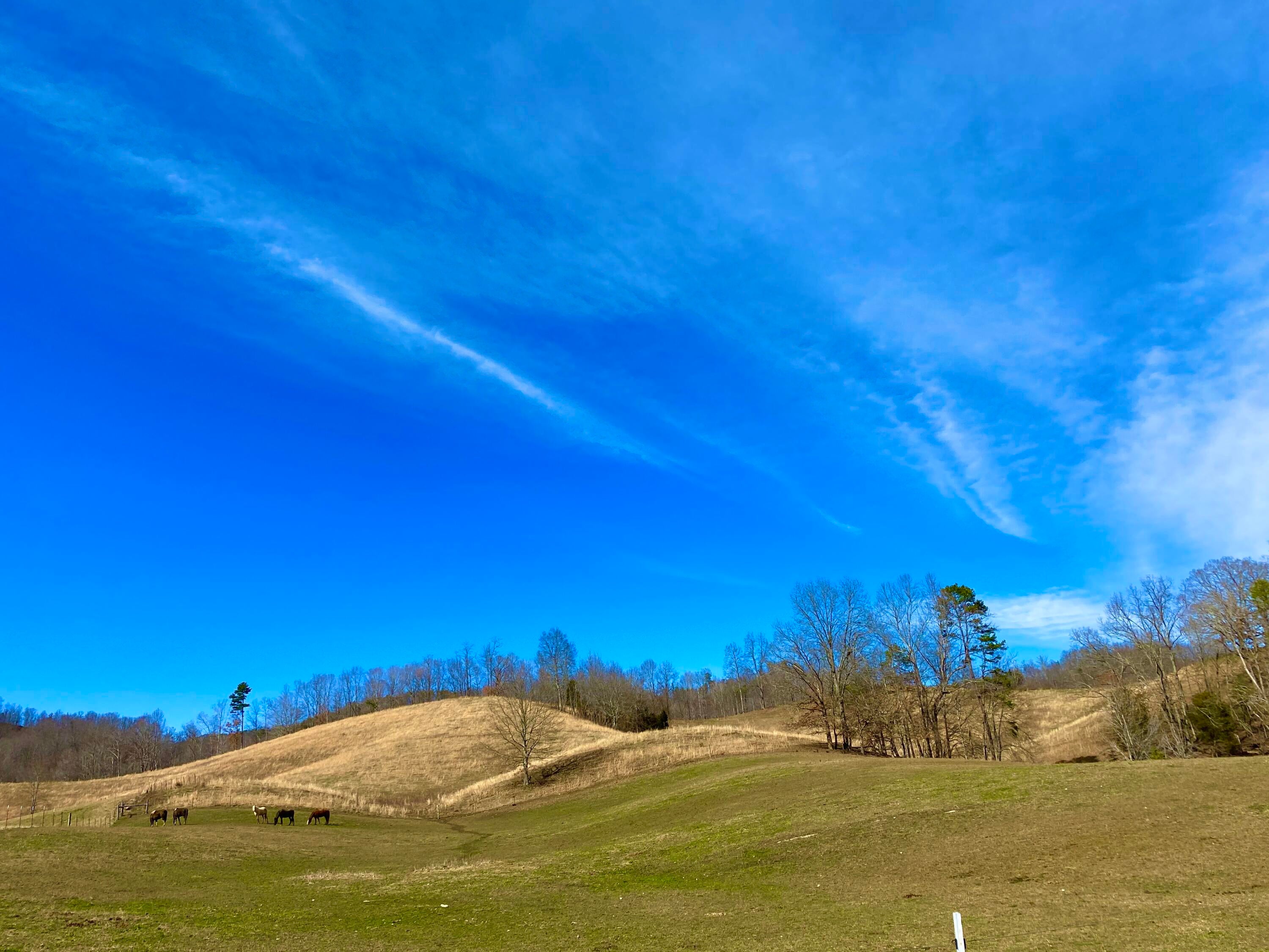 Photo #30: 889 Caney Valley Loop
