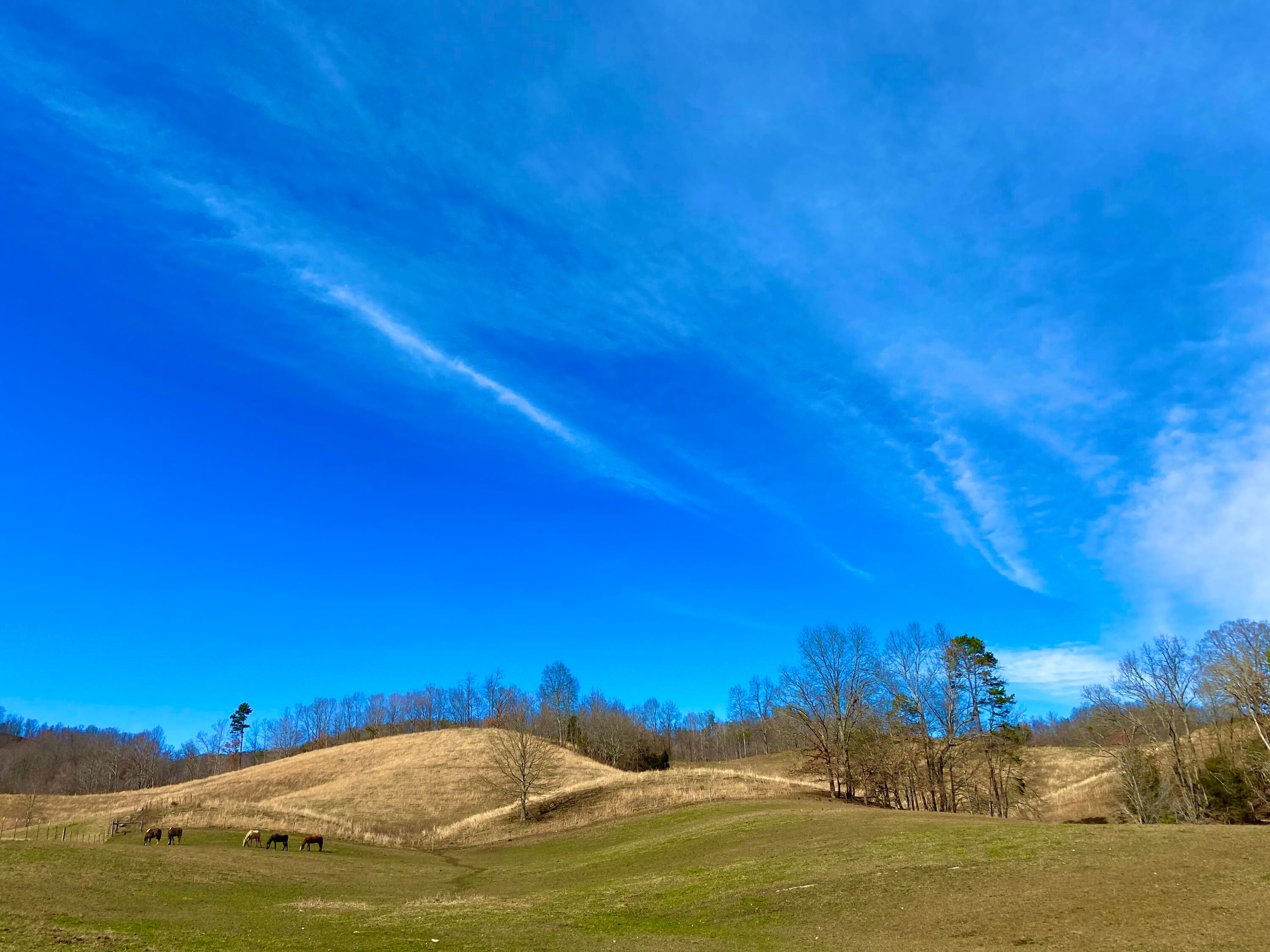 Photo #31: 889 Caney Valley Loop
